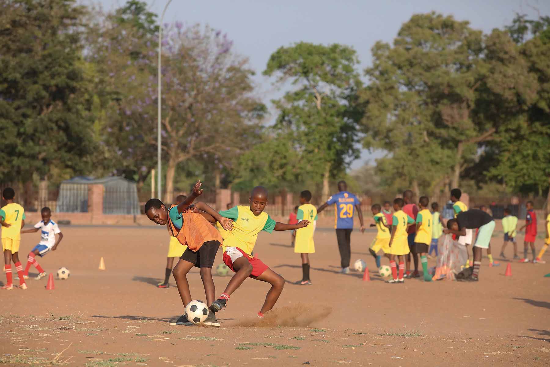Where Dreams Begin: Grassroots Impact
